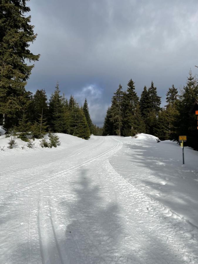 Ski Klinovec Loučná pod Klínovcem Dış mekan fotoğraf